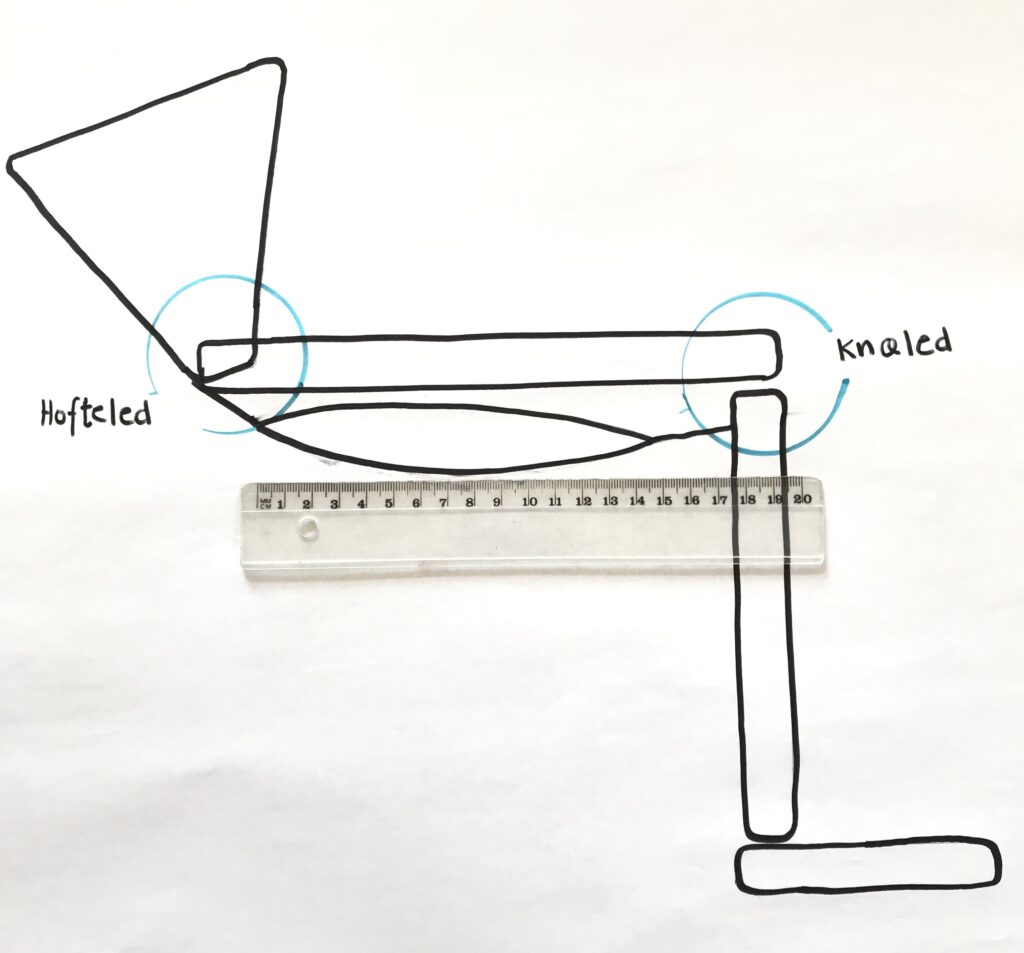 Simplificeret tegning af siddende stilling med bækkenet trukket ind under sig
