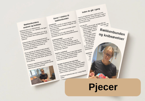 Pjecer